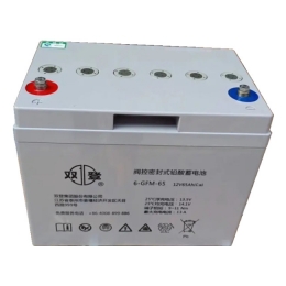 双登电池6-GFM-65